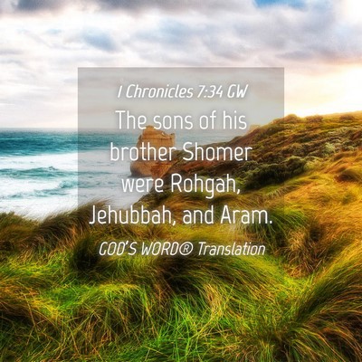 Picture 04 - 1 Chronicles 7:34 GW - The sons of his brother Shomer were Rohgah, - Bible Verse Picture