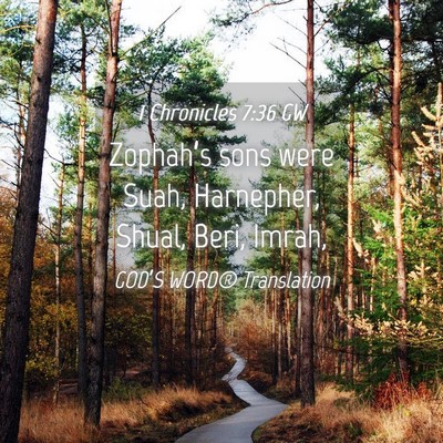 Picture 04 - 1 Chronicles 7:36 GW - Zophah’s sons were Suah, Harnepher, Shual, - Bible Verse Picture