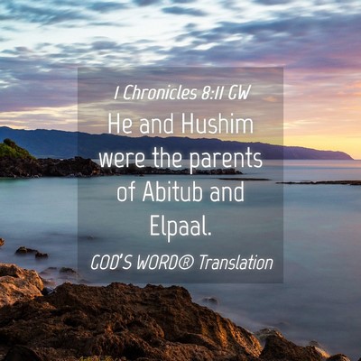 Picture 04 - 1 Chronicles 8:11 GW - He and Hushim were the parents of Abitub and - Bible Verse Picture