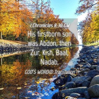 Picture 04 - 1 Chronicles 8:30 GW - His firstborn son was Abdon, then Zur, Kish, - Bible Verse Picture