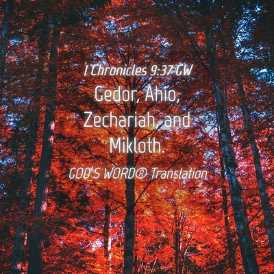 Picture 04 - 1 Chronicles 9:37 GW - Gedor, Ahio, Zechariah, and - Bible Verse Picture