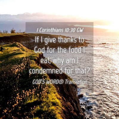 Picture 04 - 1 Corinthians 10:30 GW - If I give thanks to God for the food I eat, why - Bible Verse Picture