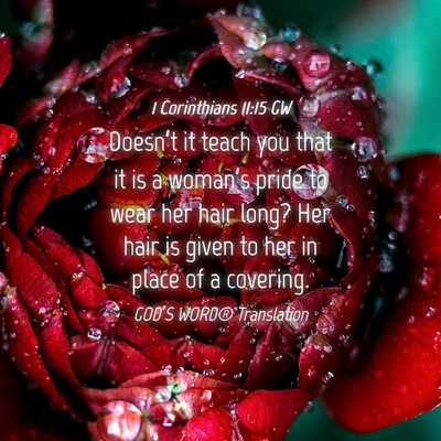 Picture 04 - 1 Corinthians 11:15 GW - Doesn’t it teach you that it is a woman’s - Bible Verse Picture