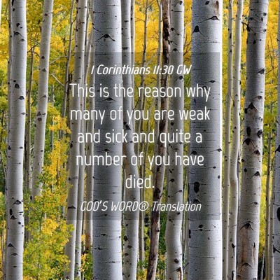 Picture 04 - 1 Corinthians 11:30 GW - This is the reason why many of you are weak and - Bible Verse Picture