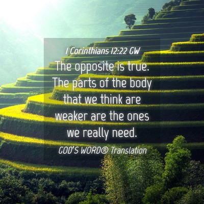 Picture 04 - 1 Corinthians 12:22 GW - The opposite is true. The parts of the body that - Bible Verse Picture