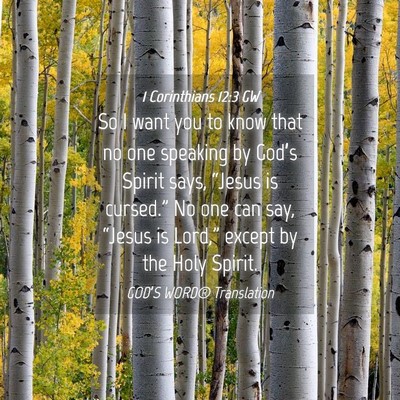 Picture 04 - 1 Corinthians 12:3 GW - So I want you to know that no one speaking by - Bible Verse Picture