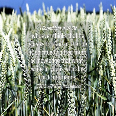 Picture 04 - 1 Corinthians 14:37 GW - Whoever thinks that he speaks for God or that he - Bible Verse Picture