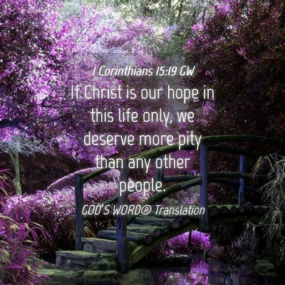 Picture 04 - 1 Corinthians 15:19 GW - If Christ is our hope in this life only, we - Bible Verse Picture