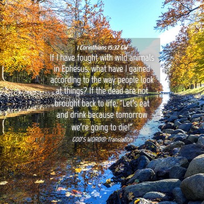Picture 04 - 1 Corinthians 15:32 GW - If I have fought with wild animals in Ephesus, - Bible Verse Picture