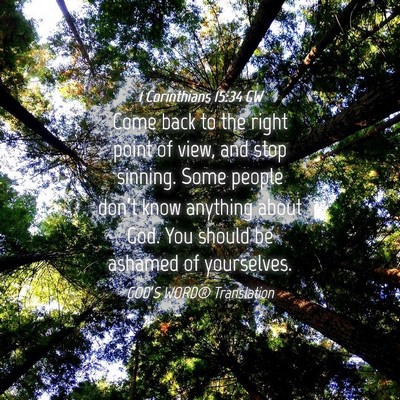 Picture 04 - 1 Corinthians 15:34 GW - Come back to the right point of view, and stop - Bible Verse Picture