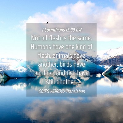 Picture 04 - 1 Corinthians 15:39 GW - Not all flesh is the same. Humans have one kind - Bible Verse Picture