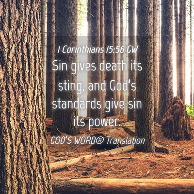 Picture 04 - 1 Corinthians 15:56 GW - Sin gives death its sting, and God’s standards - Bible Verse Picture