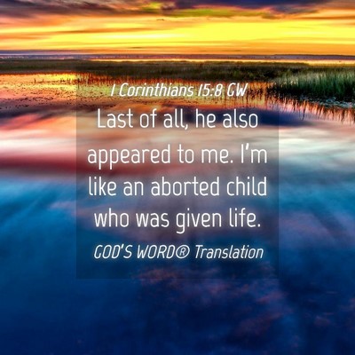 Picture 04 - 1 Corinthians 15:8 GW - Last of all, he also appeared to me. I’m like - Bible Verse Picture