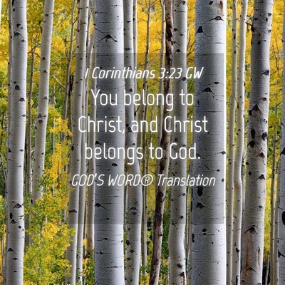 Picture 04 - 1 Corinthians 3:23 GW - You belong to Christ, and Christ belongs to - Bible Verse Picture