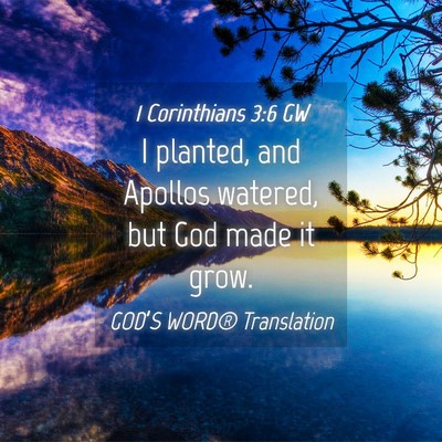 Picture 04 - 1 Corinthians 3:6 GW - I planted, and Apollos watered, but God made it - Bible Verse Picture