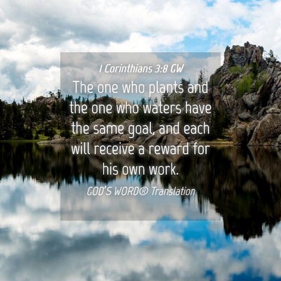Picture 04 - 1 Corinthians 3:8 GW - The one who plants and the one who waters have - Bible Verse Picture