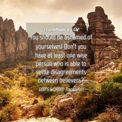 Picture 04 - 1 Corinthians 6:5 GW - You should be ashamed of yourselves! Don’t you - Bible Verse Picture