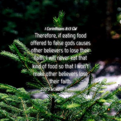 Picture 04 - 1 Corinthians 8:13 GW - Therefore, if eating food offered to false gods - Bible Verse Picture