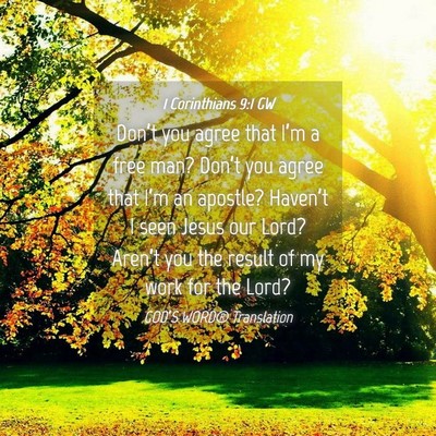 Picture 04 - 1 Corinthians 9:1 GW - Don’t you agree that I’m a free man? Don’t - Bible Verse Picture