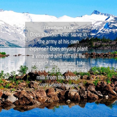 Picture 04 - 1 Corinthians 9:7 GW - Does a soldier ever serve in the army at his own - Bible Verse Picture