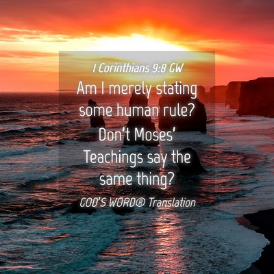 Picture 04 - 1 Corinthians 9:8 GW - Am I merely stating some human rule? Don’t - Bible Verse Picture