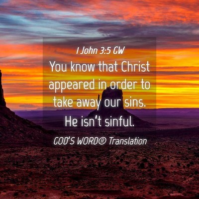 Picture 04 - 1 John 3:5 GW - You know that Christ appeared in order to take - Bible Verse Picture