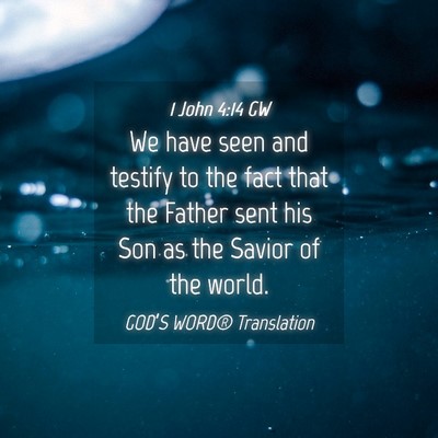 Picture 04 - 1 John 4:14 GW - We have seen and testify to the fact that the - Bible Verse Picture