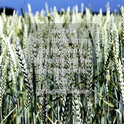 Picture 04 - 1 John 5:11 GW - This is the testimony: God has given us eternal - Bible Verse Picture
