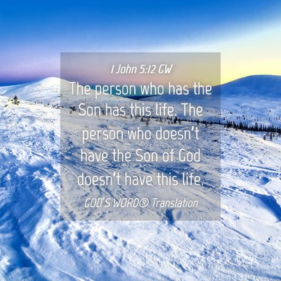 Picture 04 - 1 John 5:12 GW - The person who has the Son has this life. The - Bible Verse Picture