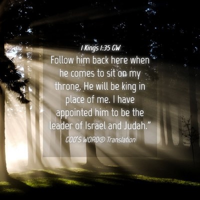 Picture 04 - 1 Kings 1:35 GW - Follow him back here when he comes to sit on my - Bible Verse Picture
