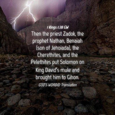 Picture 04 - 1 Kings 1:38 GW - Then the priest Zadok, the prophet Nathan, - Bible Verse Picture