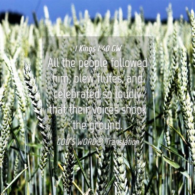 Picture 04 - 1 Kings 1:40 GW - All the people followed him, blew flutes, and - Bible Verse Picture