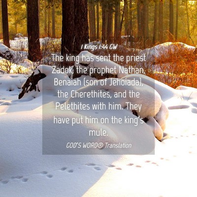 Picture 04 - 1 Kings 1:44 GW - The king has sent the priest Zadok, the prophet - Bible Verse Picture