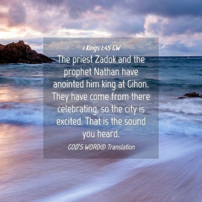 Picture 04 - 1 Kings 1:45 GW - The priest Zadok and the prophet Nathan have - Bible Verse Picture