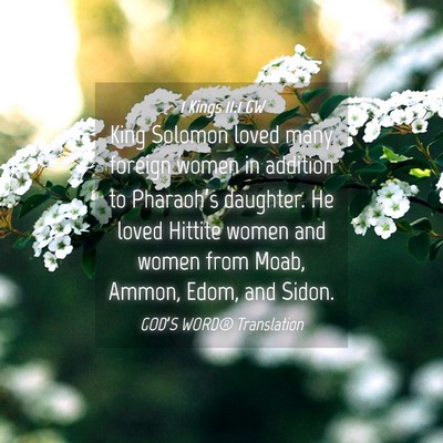 Picture 04 - 1 Kings 11:1 GW - King Solomon loved many foreign women in addition - Bible Verse Picture