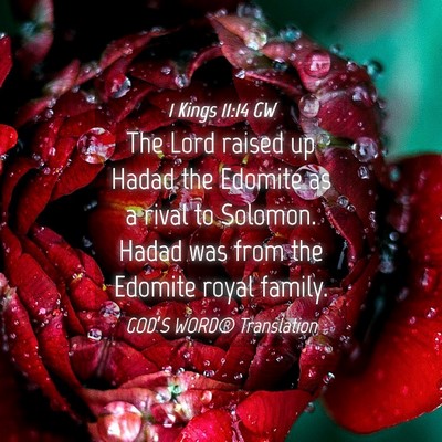 Picture 04 - 1 Kings 11:14 GW - The Lord raised up Hadad the Edomite as a rival - Bible Verse Picture
