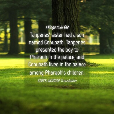 Picture 04 - 1 Kings 11:20 GW - Tahpenes’ sister had a son named Genubath. - Bible Verse Picture