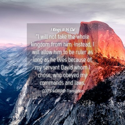Picture 04 - 1 Kings 11:34 GW - “I will not take the whole kingdom from him. - Bible Verse Picture