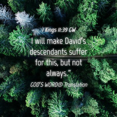Picture 04 - 1 Kings 11:39 GW - I will make David’s descendants suffer for - Bible Verse Picture