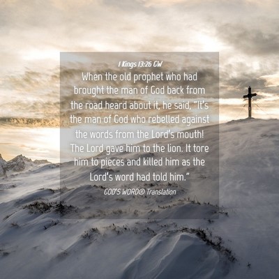 Picture 04 - 1 Kings 13:26 GW - When the old prophet who had brought the man of - Bible Verse Picture