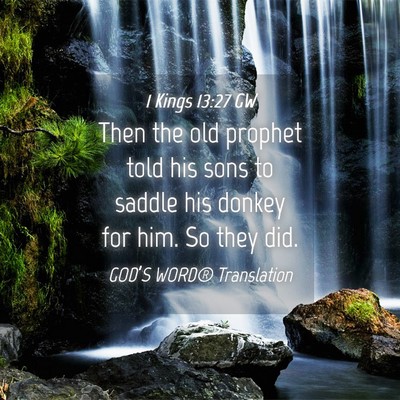 Picture 04 - 1 Kings 13:27 GW - Then the old prophet told his sons to saddle his - Bible Verse Picture