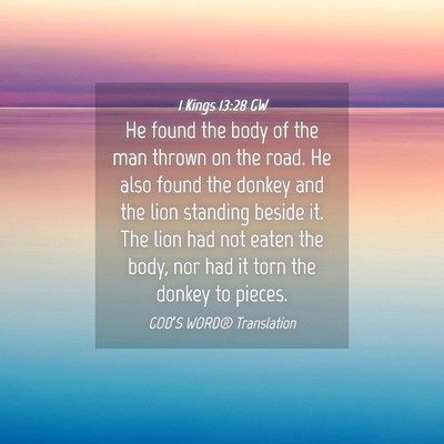 Picture 04 - 1 Kings 13:28 GW - He found the body of the man thrown on the road. - Bible Verse Picture