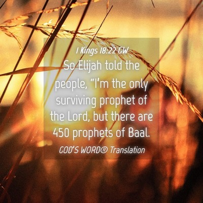 Picture 04 - 1 Kings 18:22 GW - So Elijah told the people, “I’m the only - Bible Verse Picture