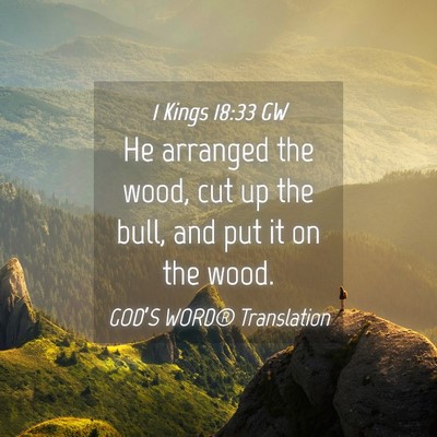 Picture 04 - 1 Kings 18:33 GW - He arranged the wood, cut up the bull, and put it - Bible Verse Picture