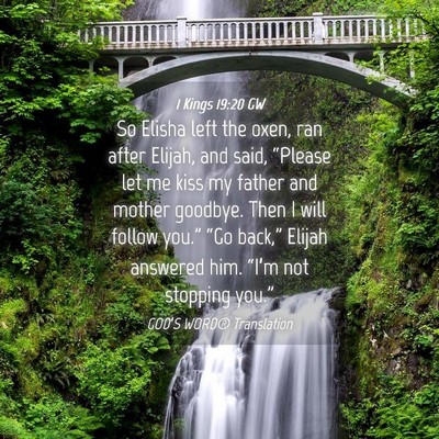 Picture 04 - 1 Kings 19:20 GW - So Elisha left the oxen, ran after Elijah, and - Bible Verse Picture