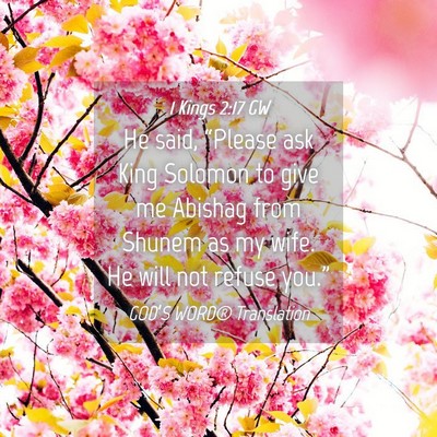 Picture 04 - 1 Kings 2:17 GW - He said, “Please ask King Solomon to give me - Bible Verse Picture