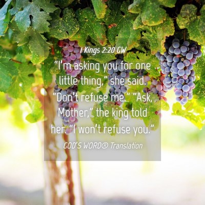 Picture 04 - 1 Kings 2:20 GW - “I’m asking you for one little thing,” she - Bible Verse Picture