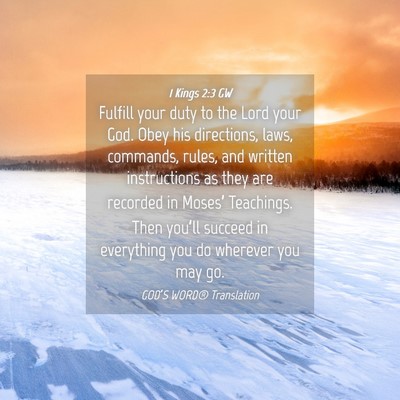 Picture 04 - 1 Kings 2:3 GW - Fulfill your duty to the Lord your God. Obey his - Bible Verse Picture