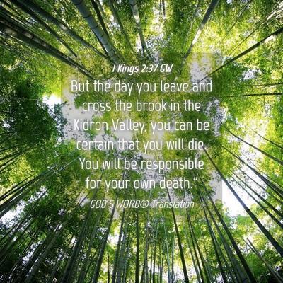Picture 04 - 1 Kings 2:37 GW - But the day you leave and cross the brook in the - Bible Verse Picture