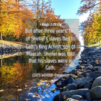 Picture 04 - 1 Kings 2:39 GW - But after three years, two of Shimei’s slaves - Bible Verse Picture
